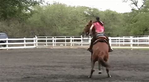 riding gifs|Riding Horse GIFs .